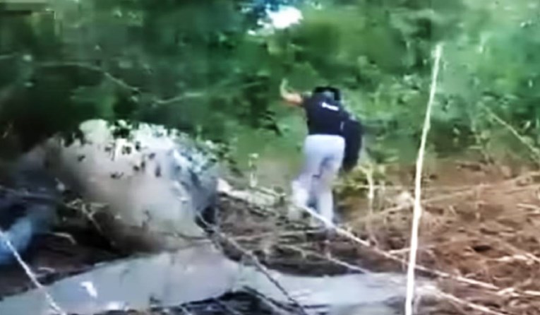VIDEO Grbavi kit pronađen usred amazonske šume. Nije jasno kako je tamo dospio
